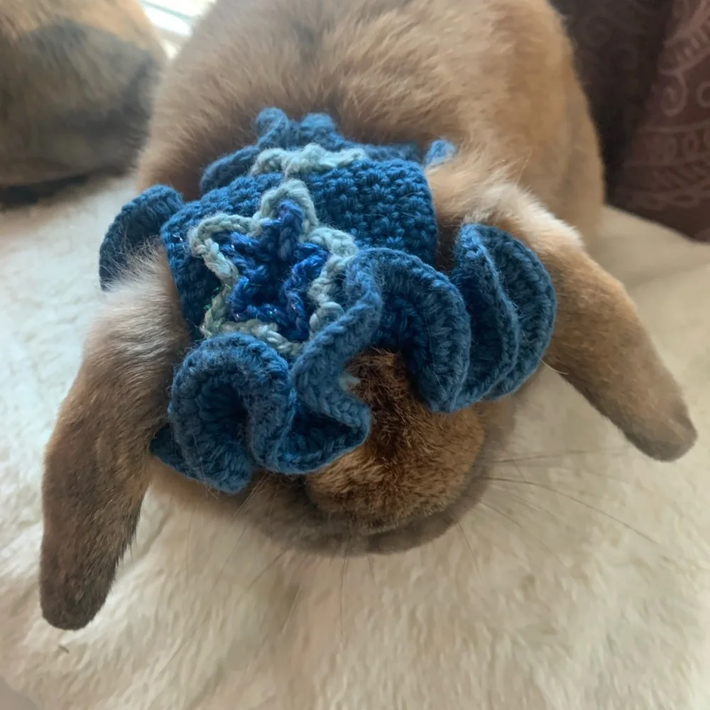 Small pet hats: bunnies, cats, small dogs